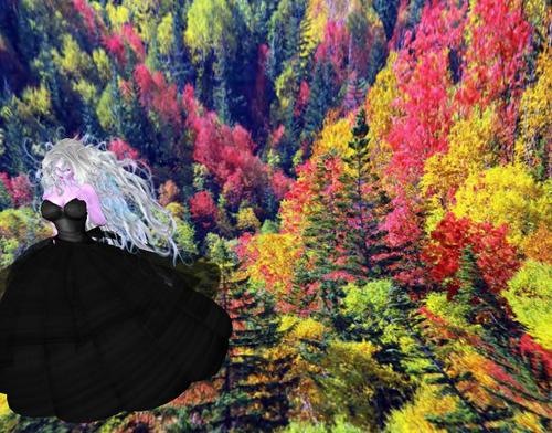 Web 5b0b1c5e73ed174cc0000001