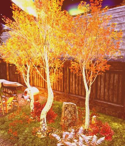 Web 5b514ee0d9859c25ba000001