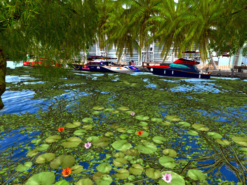 Web 6535ac7bcfa07d610c6ec917