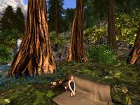 Small 5a746e8f289dd26236000001