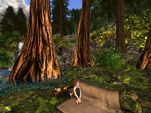 Web 5a746e8f289dd26236000001