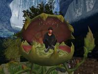 Small 5fafcb445448bf47a4079959