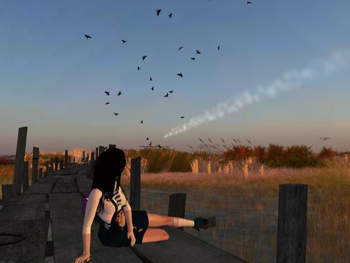 Web 5a64ccaed774f8797c000001