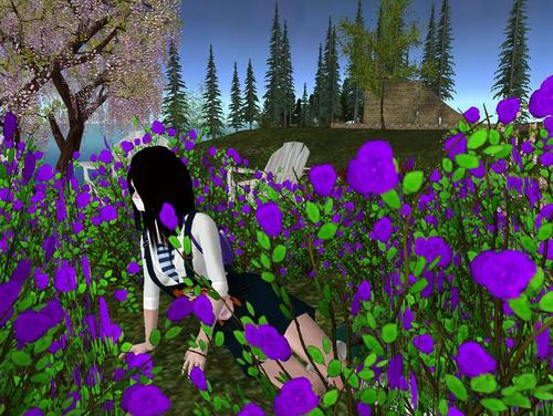 Web 5a64e75a73ed175afd000001