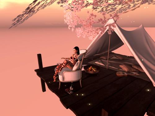 Web 5b8b2d5173ed177087000001