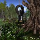 Thumb 5c6d5d2b289dd27e96000001