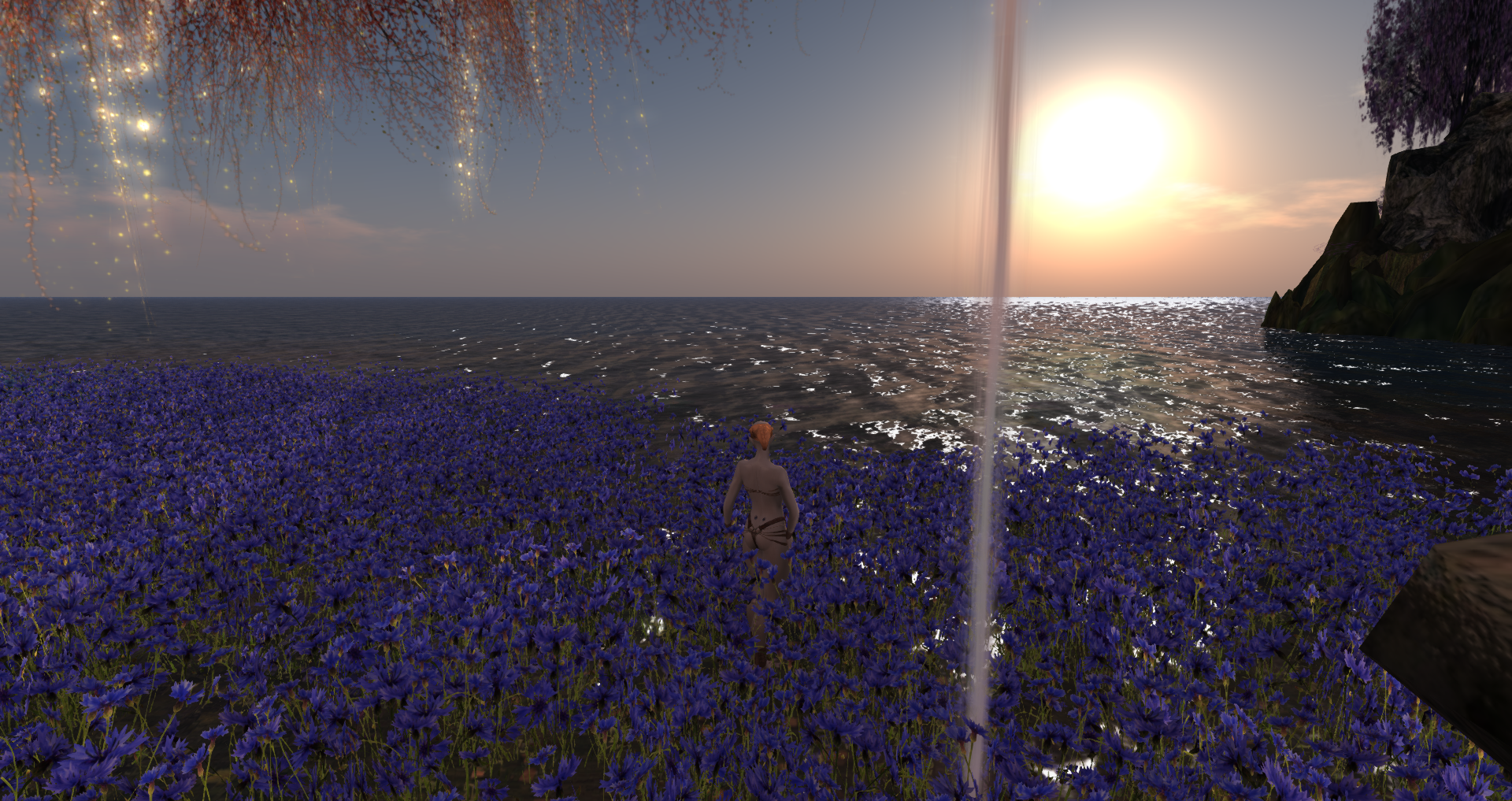 Original 641220d37d11db436d1cbc67