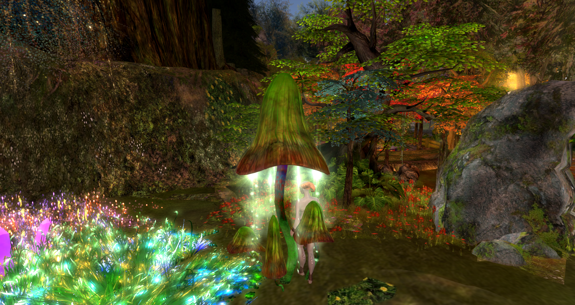 Original 6412284564d6277666d36b65