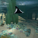 Thumb 640cbe441aaa771bfe119446