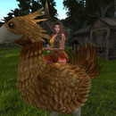 Thumb 64285a413d8d3c5e31dca015