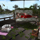 Thumb 642aec4699148343a6f1f6f1