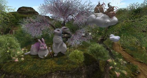 Web 630594b296292978634c3295