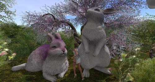 Web 630595a6cb2a676459685f75