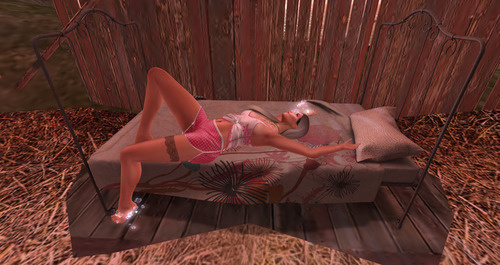 Web 644be1f3fb19202e5507d38c