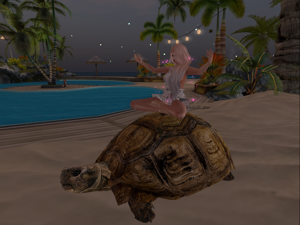 Original 5cdd4d88289dd26c65000001