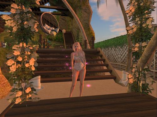 Web 5cd5ca5dd774f811a9000001