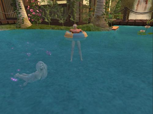 Web 5cd92562d9859c1ec0000001