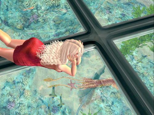 Web 5da5c04373ed175177000001