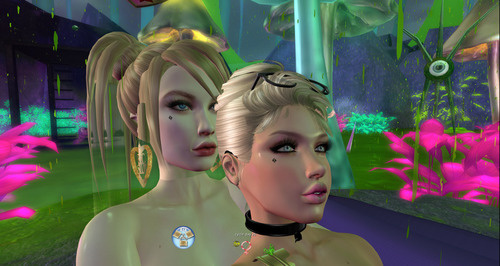 Web 644a67617ae76d677f18c21b