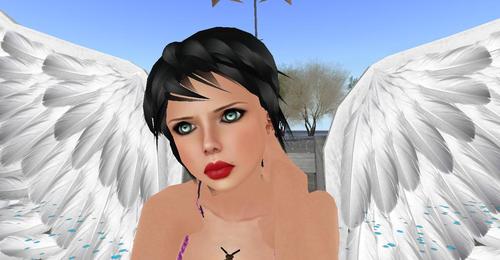 Web 5bc1022173ed172f66000001