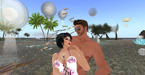 Web 5bc103a3d9859c128b000001