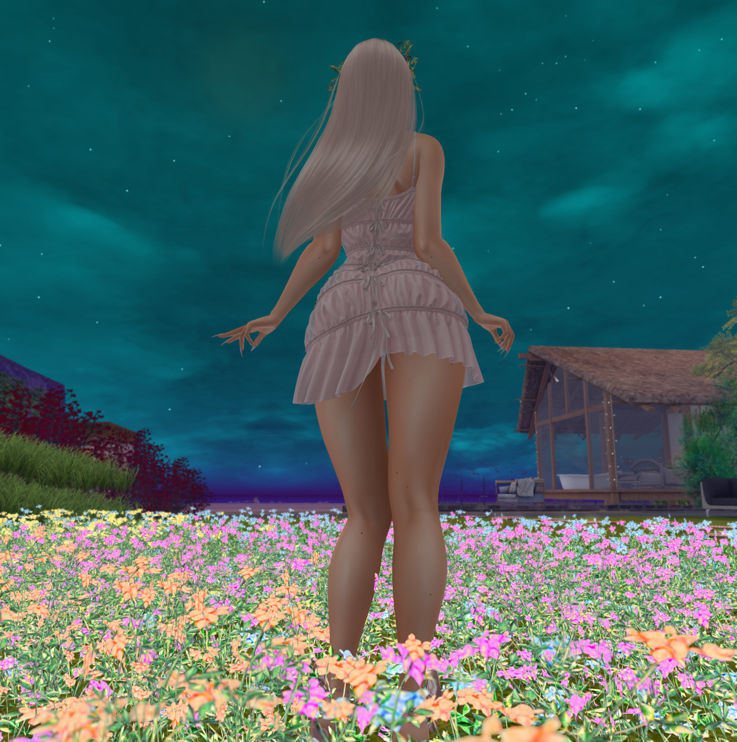 Original 6645f49b2c8ed25d87729709