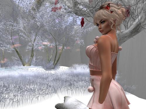 Web 5ba2480f09ec2474e2000001