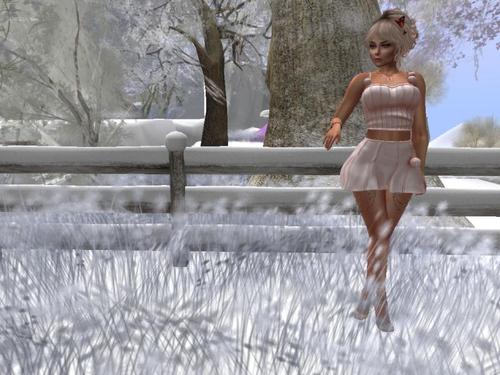 Web 5ba24b4309ec24071a000001