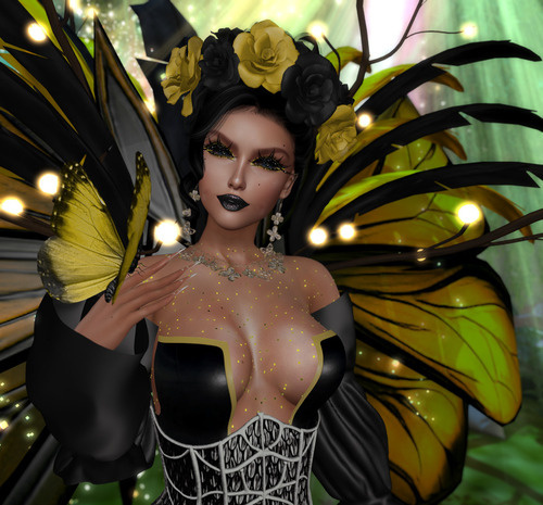 Web 6562113dcfa07d6b156ec917