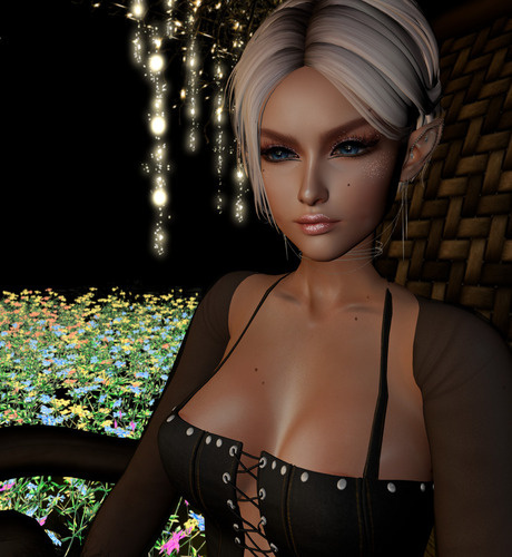 Web 65c1074a75f803234904e425