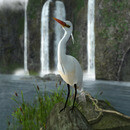 Thumb 64ba480b0e70c905c50eec71