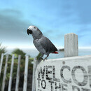 Thumb 64ba49fe61e05966d28bc46f