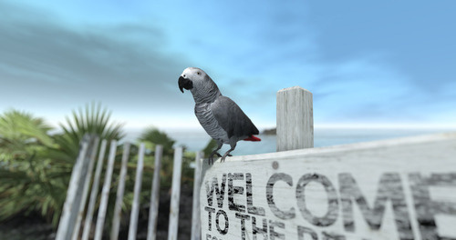 Web 64ba49fe61e05966d28bc46f