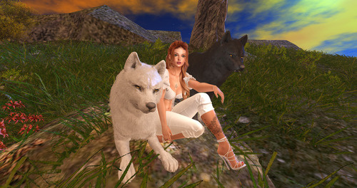 Web 64ba4fbe9ff9d1149a42fe76