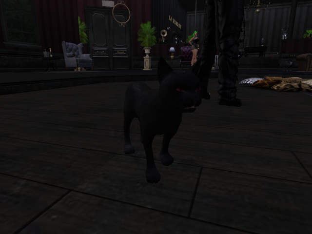 Original 5bf4dca0289dd2454f000001