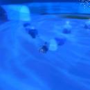 Thumb 5b4c04aa73ed172e65000001