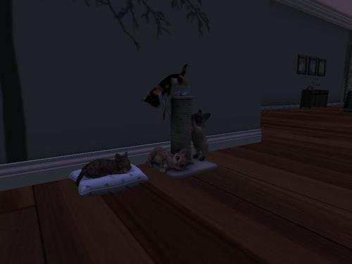 Web 5b626628d9859c3934000001