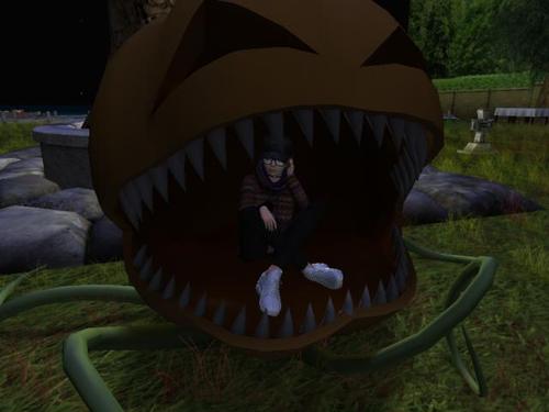 Web 5bce6bfa289dd2467c000001