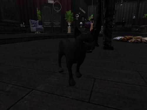 Web 5bf4dca0289dd2454f000001