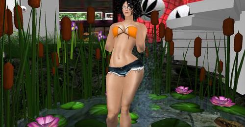 Web 5bb131e873ed173300000001