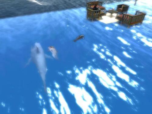 Web 5e3beb65289dd230a5468042