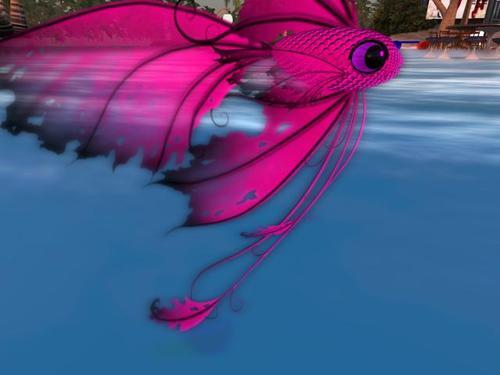 Web 5e3bf8e1d774f85f1e3b020f