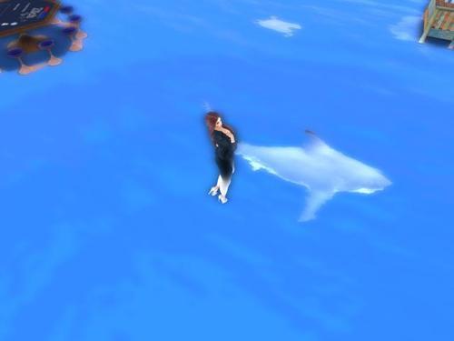 Web 5e3c0817d774f83d565a345d