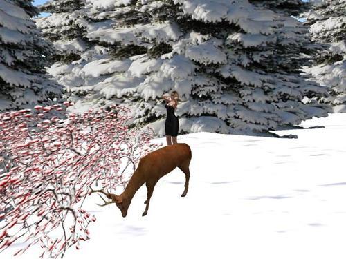 Web 5e3d33a0d774f876e35a345d