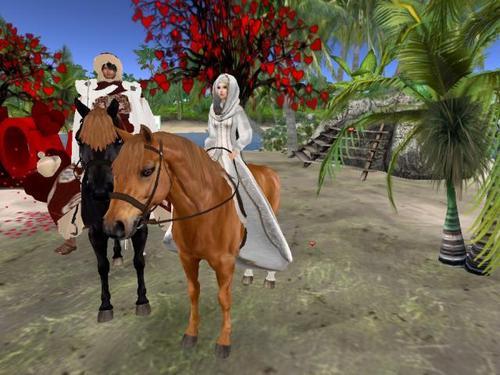 Web 5e46b65ad774f85019bec4ec