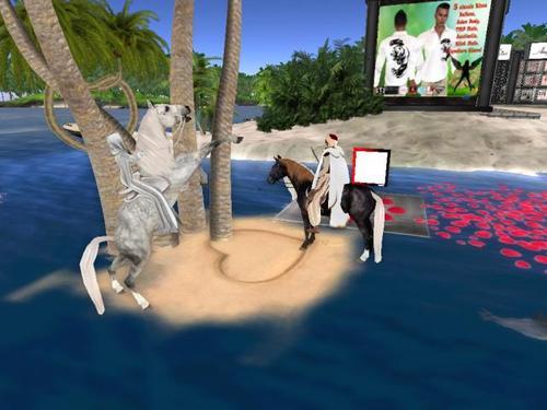 Web 5e46bec1d9859c417a99402e