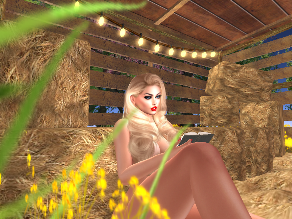 Original 614653c866951e3144dd45a5