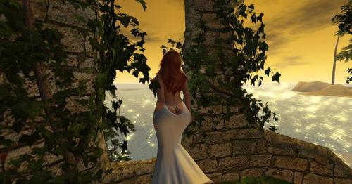 Web 613caf1a215bfa44ed55282f