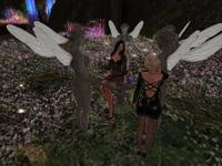 Small 5fa8456a3f54616c1e5eeb66