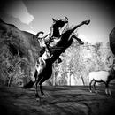 Thumb 5ba28c1cd9859c25bc000001